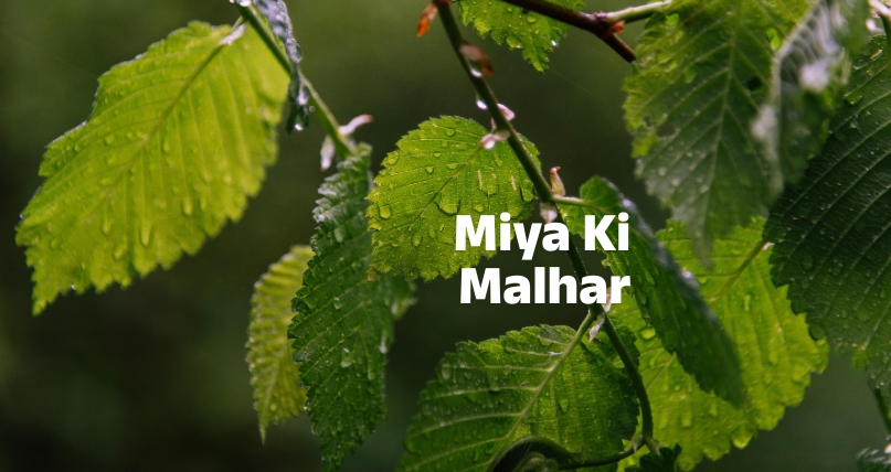 miya ki malhar